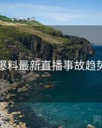 吃瓜爆料最新直播事故趋势洞察
