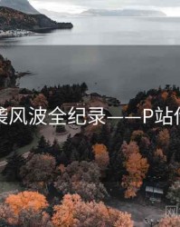 多维抄袭风波全纪录——P站传播路径
