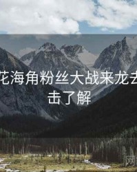 国产探花海角粉丝大战来龙去脉，点击了解