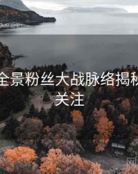 黑料网全景粉丝大战脉络揭秘，值得关注