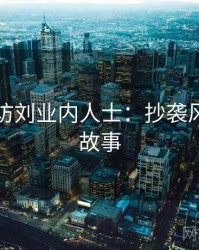 吃瓜专访刘业内人士：抄袭风波幕后故事