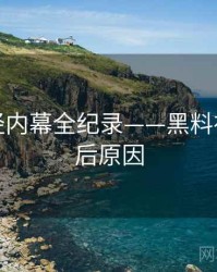 最新财经内幕全纪录——黑料社官网背后原因