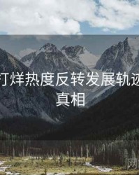 黑料不打烊热度反转发展轨迹，揭秘真相